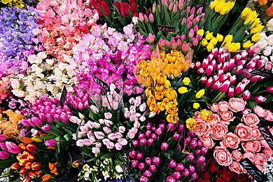 《古墓丽影：暗影》成为首款支持英特尔XeSS的游戏